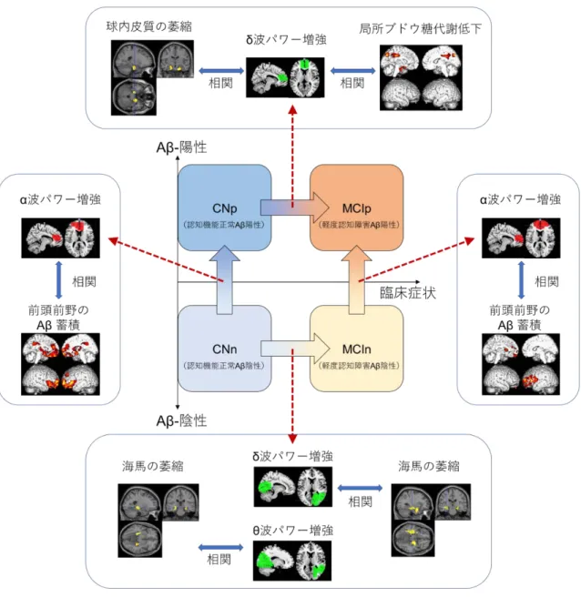 図 4：局所自発脳磁図パワーと他の画像マーカーとの関連  4)  Prodromal/Early AD における栄養状態と脳局所ブドウ糖代謝との関連  AD ではしばしば体重減少が認められ、これが全身状態の悪化や死亡率に影響を与える ことが知られているが、そのメカニズムはまだよくわかっていない。従って本研究は、AD に伴う体重減少と脳機能変化との関係を、脳画像の観点から明らかにすることを目的とし た。本研究は、櫻井孝もの忘れセンター長と杉本大貴研究員との共同研究で行った。対象 は MULNIAD study