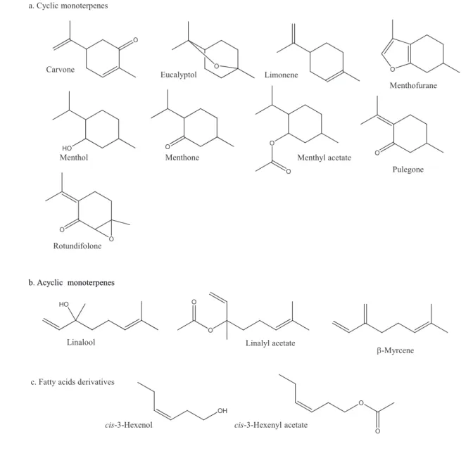 Fig. 2. Structures of major scent compounds of mints.