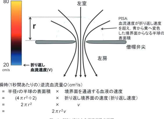 Fig. 7   Proximal Isovelocity 