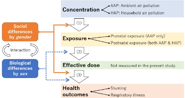 Fig 4. Conceptual Framework. 