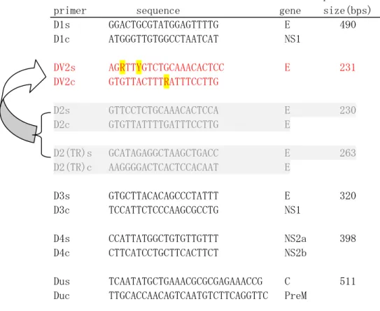 Table 1  Nucleotide sequences of dengue virus primer                                                                   product 