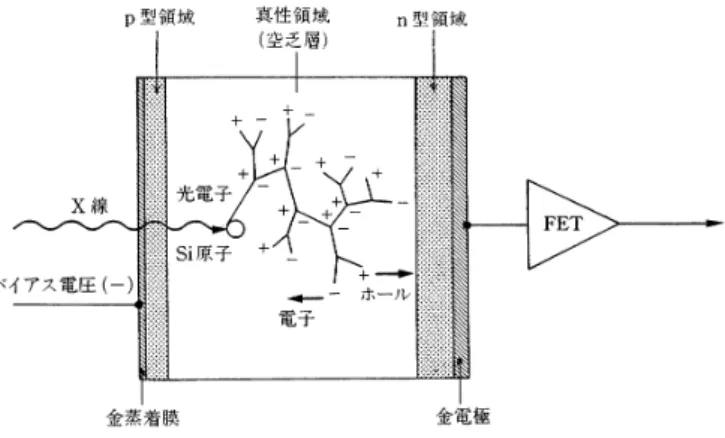 図 9.13 Si(Li) 半導体検出器の構造
