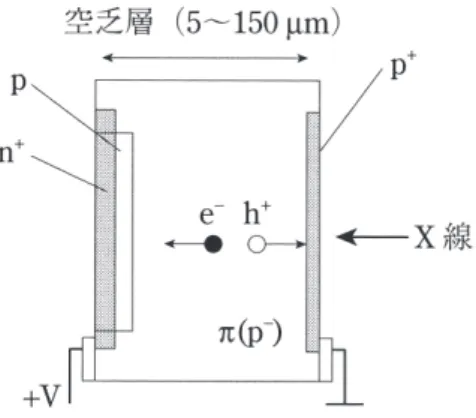 図 9.18 アバランシェ・フォトダイオード検出器（リーチスルー型）の構造 2)   π 層は p 型不純物濃度の低い領域を表わす．異常 に高濃度の不純物をもつ薄い層を、例えば n ＋ 、p − などで表わし、電極に使うことがある．