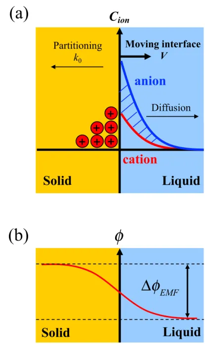 Fig. 1.8. Schematic illustrations of (a) segregation of ionic species near the solid- solid-liquid interface and (b) generation of crystallization electromotive force (∆