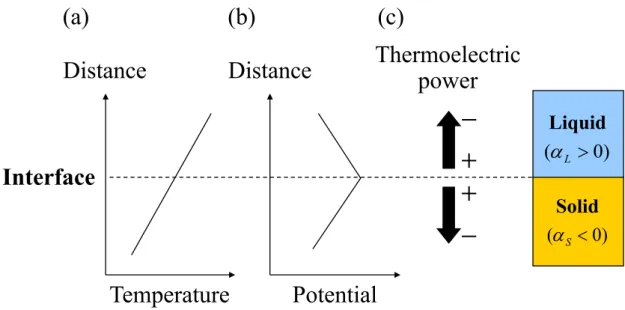 Fig.  1.10.  Schematic  illustrations  of  the  occurrence  of  Seebeck  effect  in  (a)  electron-dominant materials and (b) hole-dominant materials
