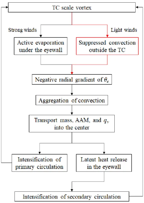 Figure  3.10:  Schematic  diagram  of  the  updated  wind-evaporation  feedback  hypothesis