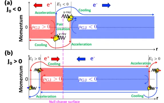 Fig. 2.— Schematic illustration of the gap structure following the initial discharge phase, for J 0 < 0 (a) and J 0 > 0 (b)
