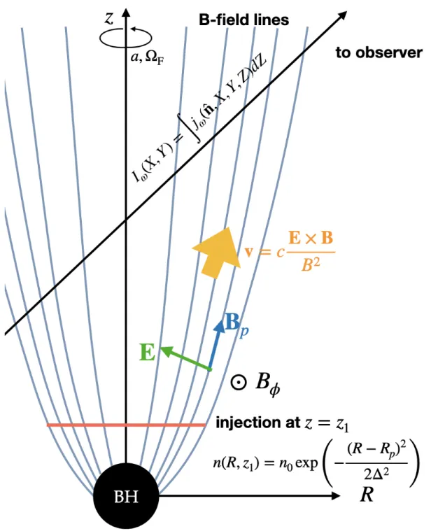 Figure 4.1: The schematic picture of our model used in Chapter 4. The electromagnetic field is described by Equation (4.1), (4.2), and (4.4)