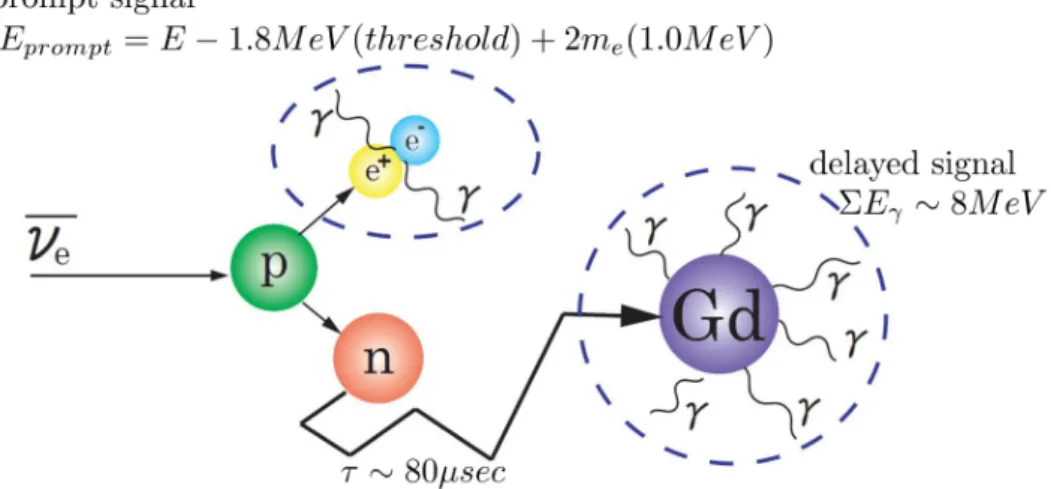 Figure 2.6: A schematic diagram of delayed coincidence IBD detection used JSNS 2 experiment.