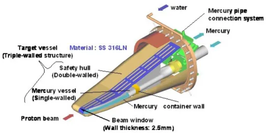 Figure 2.12: A schematic drawing of the mercury target in the J-PARC MLF [10].