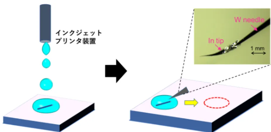 図 3.11 液滴を用いた基板上へのナノワイヤの配置。 ( 左 ) 滴下時の様子を示した図。 ( 右 ) ナノワイヤを液滴と共に赤い点線で印した目的地へ動かす様子を示した図。液滴 の移動には In マニピュレータ（タングステン製の針の先端を 180 ℃ に加熱した In 中 に入れ、静かに引き上げたもの）を用いている。 ソースドレイン電極の作製 この工程ではナノワイヤの両端に電極をつけ、導通をとると同時にナノワイヤを完全に 固定する。まずフォトレジスト ip3650 を基板全体にコーティングした後、フォトリ