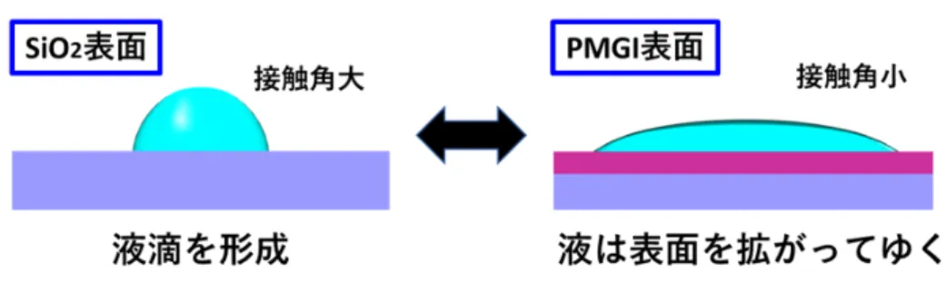 図 3.18 ブチルカルビトールの SiO 2 表面と PMGI 表面に対する濡れ性の違い ブチルカルビトールの液滴と同時に液滴中のナノワイヤも下方向へ引っ張られるように 動いて行くが、予め作製した壁がちょうどナノワイヤの動きを阻み、その結果ナノワイヤ が溝に対して正確な垂直位置に配置される。このときナノワイヤは壁にピッタリと寄って いるため、その下端の位置は図 3.19 で示したように作製した壁の位置とほとんど一致し ていると言える。これはすなわちナノワイヤの配置において非常に高い位置精度の達成を 意味し