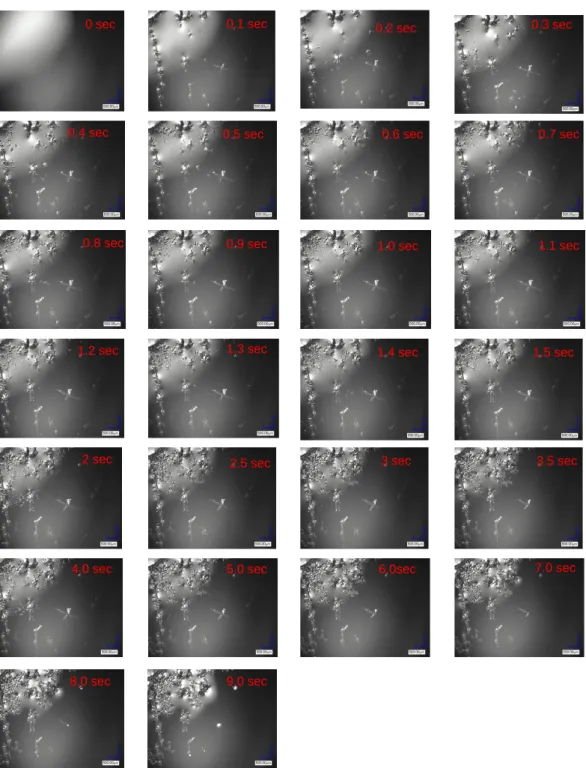 図 3-3 Si 0.7 Ge 0.3 融液の急冷凝固過程の観察結果。 