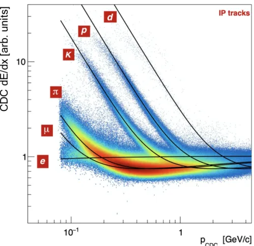 FIG 3.6: Energy loss dE/dx at CDC as a function of track momentum. Two dimensional distributions are measured in data and the black solid line shows the predictions with the simulation