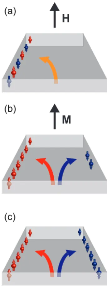 Figure 1.9 Schematic representation of the diﬀerent Hall eﬀects: (a) Ordinary Hall Eﬀect, (b) Anomalous Hall Eﬀect, and (c) Spin Hall Eﬀect.