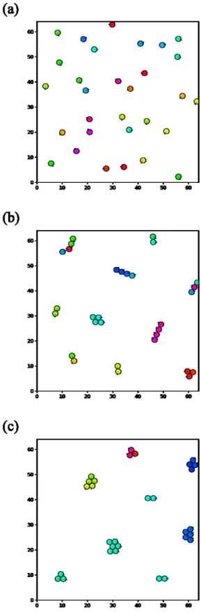 Fig. 2.9 Examples of the collective motion for N = 30, Ma = 50 . 0, and (a) γ ∗ 0 = 0 