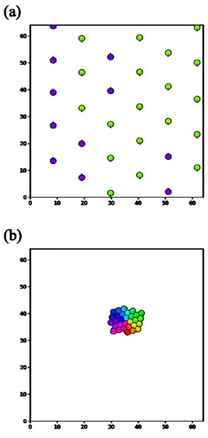 Fig. 2.10 Examples of the collective motion for N = 30, Ma = 10 . 0, (a) γ ∗ 0 = 0 . 1 and (b) γ 0 ∗ = 10 
