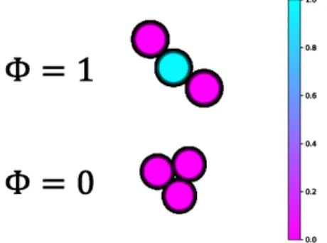Fig. 2.13 Interpretation of the orientational order parameter Φ, which detects the worm- worm-like structure
