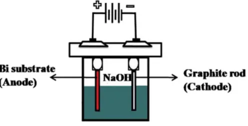 Figure 1.10 Schematic diagram of lateral anodization cell setup. Reprinted with permission from [43]