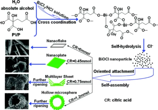 Figure 1.19 Formation of BiOCl nano-/microstructures under various concentrations of citric acid