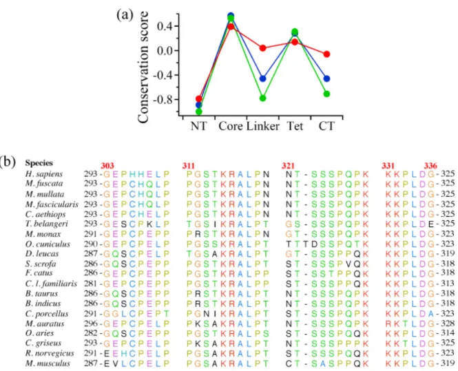 Fig. 2-1. Sequence conservation in the linker region of p53. (A) Standardized conservation score  averaged for each domain of p53 from mammals (red), vertebrates (blue), and non-mammals (green)