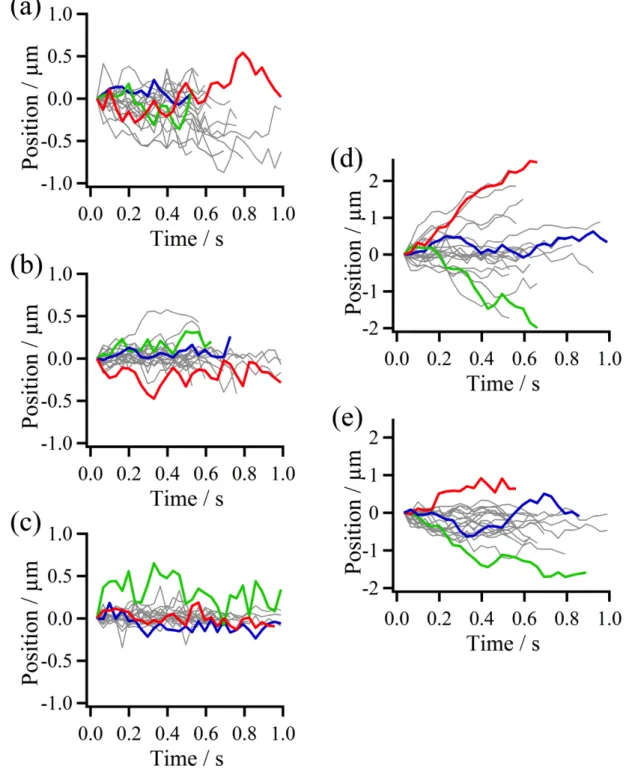 Fig.  2-8.  Single  molecule  trajectories  of  p53  samples  obtained  using  single-molecule  fluorescence microscopy imaging
