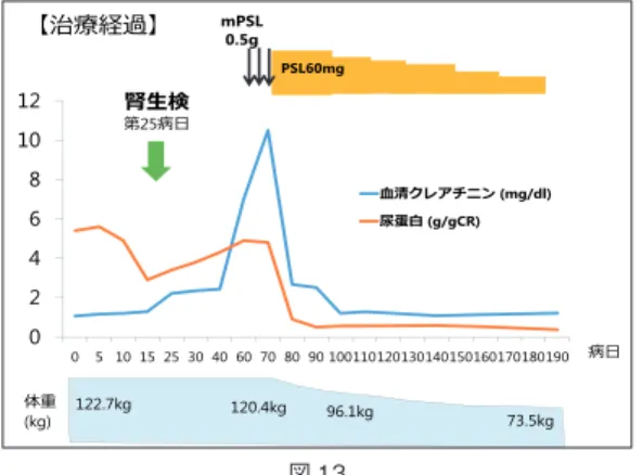 図 16 【病理医の先⽣にお聞きしたいこと】この症例におきまして、 ⾜突起消失の所⾒は、糖尿病性腎症によるものでなく微⼩変化型ネフローゼ症候群によるものであると病理所⾒から述べることは可能でしょうか？ 2 型DM患者においてDMNとNon-DMNを 臨床徴候で鑑別するMeta-analysis 網膜症、罹病期間、SBP,DBPはDM群で有意に⾼い。 PLoS One