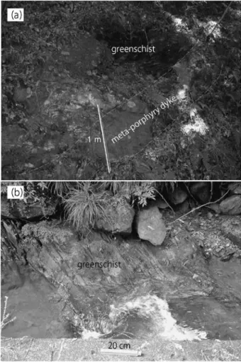 Fig. 14    (a) Cambrian porphyry dyke intruding into greenschist of  the Akazawa Formation at Stop 2, (b) greenschist of the Akazawa  Formation at Stop 3.