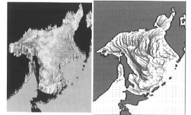 Fig.  3.  Sea  ice  thickness  variations  in  Mar .  2001 (right)  and  mean  ice  flow  pattern     (left)  in  the  Sea  of  Okhotsk.