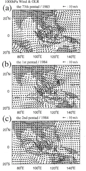 Fig.  4  1,000 hPa  wind  and  OLR  in  the  case  of  WP-N  pattern     