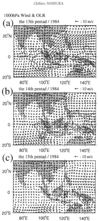 Fig.  6  1,000 hPa  wind  and  OLR  in  the  case  of  EP  pattern     