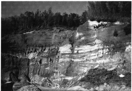 Fig  6  Nishime  Formation  at  the  type  locality  (Loc  b)  at  Takou,  Nishime  Town     The  upper  part  of  the  Nishime  Formation,  namely  unconsolidated,  cross-laminated 
