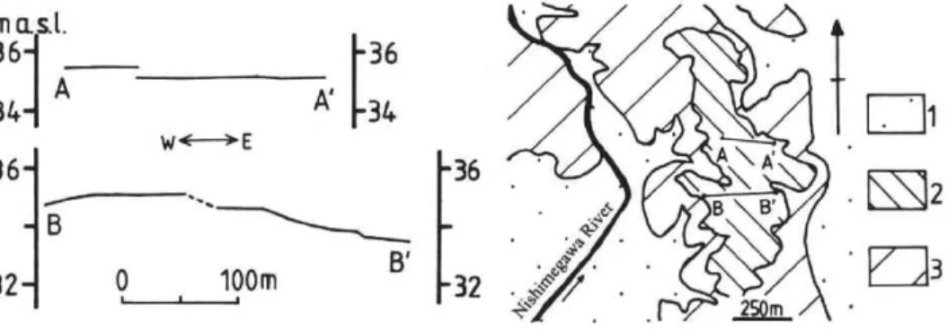 Fig. 10  Topographic  profiles on Hj-M1  Terrace  Surface  at  Funaoka,  Honjo City, in the         north  of the  study area 