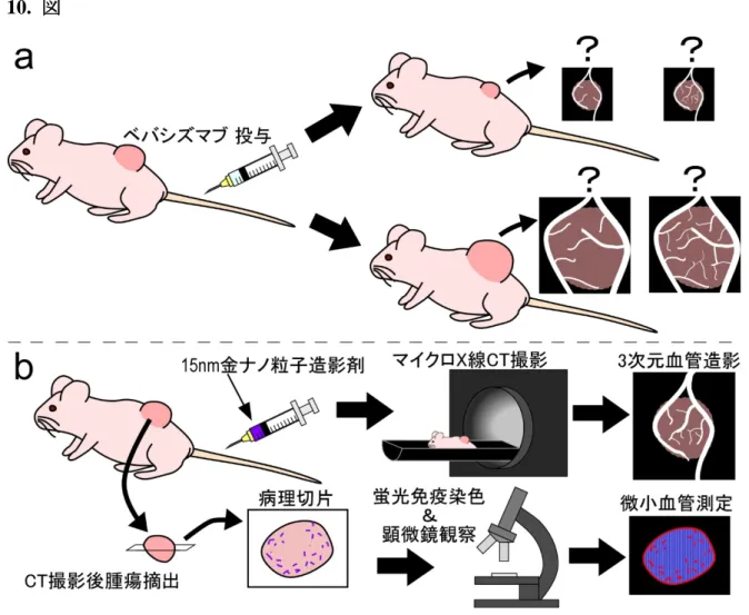 図 1  本実験のコンセプト 