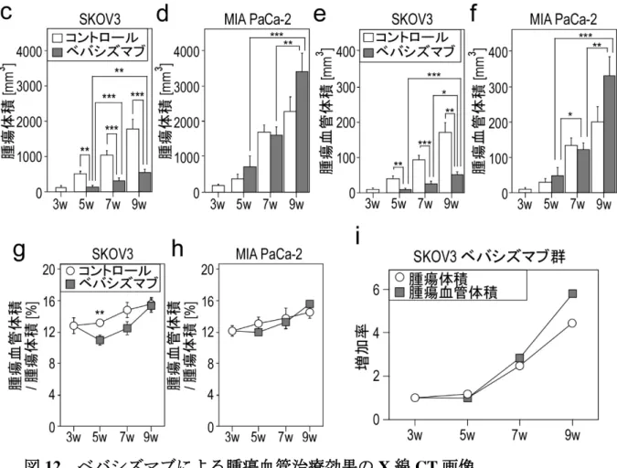 図 12  ベバシズマブによる腫瘍血管治療効果の X 線 CT 画像 