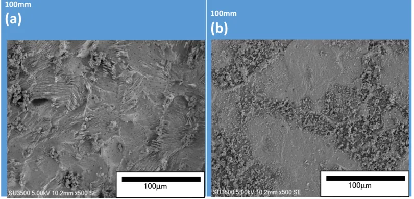 Fig.  SEM images of Zn surfaces after 50 charge-discharge cycles in ZnO saturated 