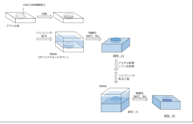 図 7  鋳型の作製工程 