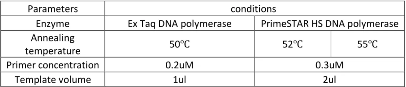 Table 4. Optimization parameters of conventional PCR with new primer set 1245rwf  and TX30SXN
