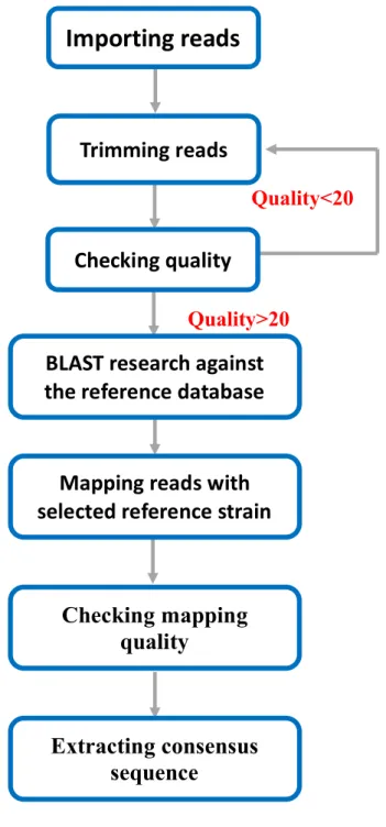 Figure 3. Flowchart of high-throughput nucleotide sequencing analysis                                                                             Quality<20                                                                                                 