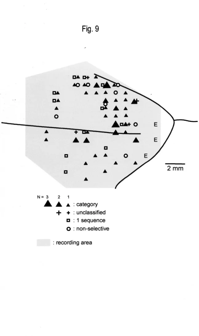 Fig. 9 N= 3   2  1 A A A :category + + : unclassified ロ: 1 sequence O : non‑selective : recording area
