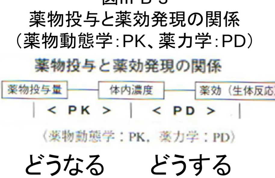 図 III-B-3 