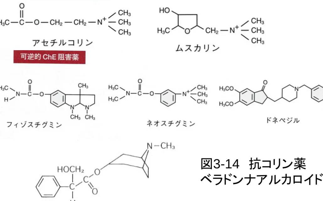 図 3-14   抗コリン薬