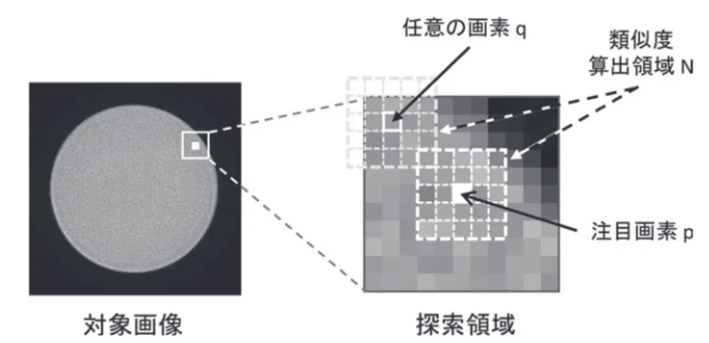 図 2. NLM フィルタで設定する処理領域