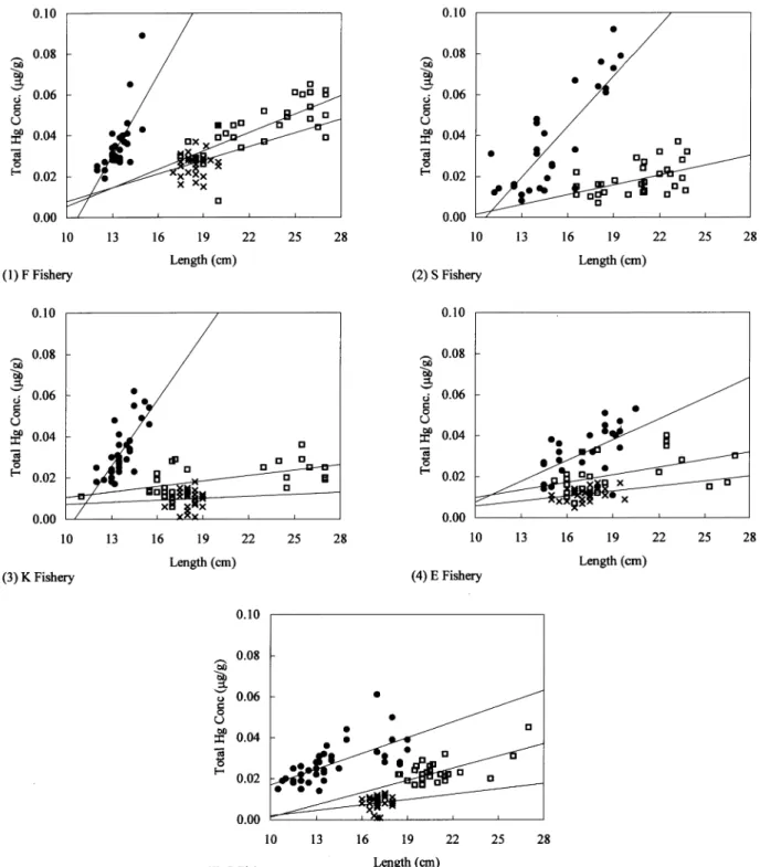 Fig.  3  Body  Length-Total  Hg  Concentration  Scatter  Diagram  of  Fisheries. 5.魚 の 水 銀 濃 度 の 主 成 分 分 析 魚 の 水 銀 濃 度 は 生 息 場 所 の 水 銀 濃 度 を 反 映 す るた め, 異 な る魚 の 水銀 濃 度 の 主成 分分 析 に よ り,生 息 場 所 の 水 銀 濃 度 順 位 を推 測 す る こ とが 可能 で あ る。 体 長 標 準化 平 均 総 水 銀 濃 度(表3