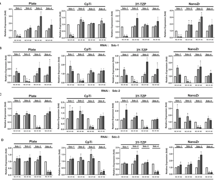 Figure 1. The expression level of Syndecan of MC3T3-E1 cells on four different surfaces (Plate,  CpTi, 3Y-TZP and NanoZr) at 48h post RNAi