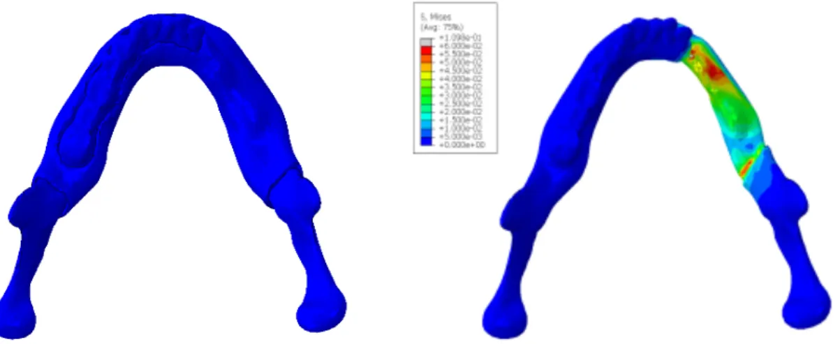 Fig. 20 Blank control group                                                    Fig. 21 CRPD control group       B control 