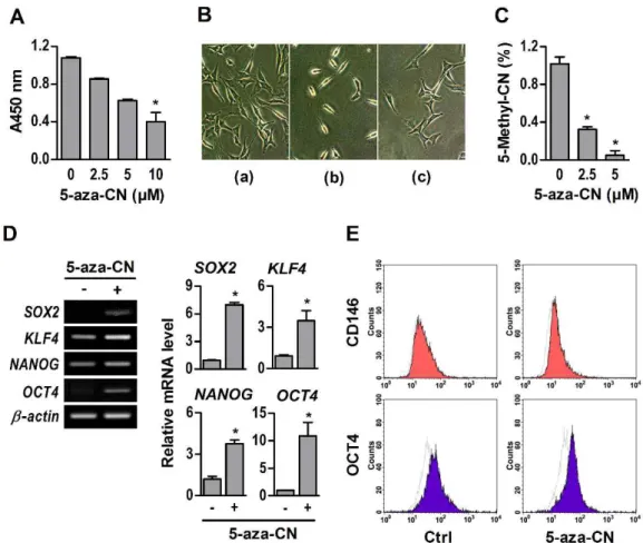 Fig. 1. Epigenetic modification in 5-aza-CN-treated NIH/3T3 cells. (A, B) After 24 h of 5-