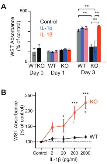 Fig. 8 Cell proliferation assay of myocyte cultures 