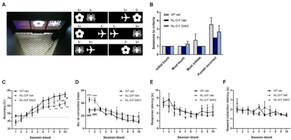 Figure 7. SAK3 administration improves upon the poor performance on the dPAL task in NL-G-F  mice