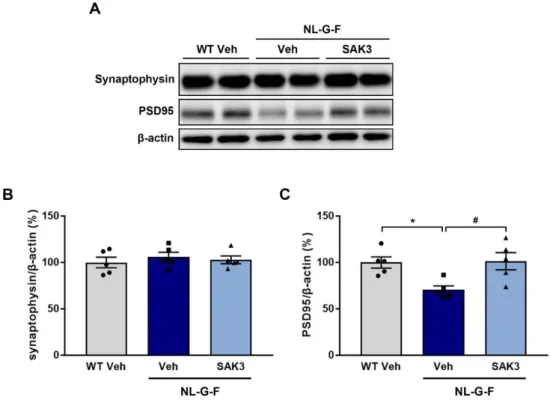 Figure  5.  SAK3  administration  rescues  the  reduction  in  PSD95  expression  in  NL-G-F  mice